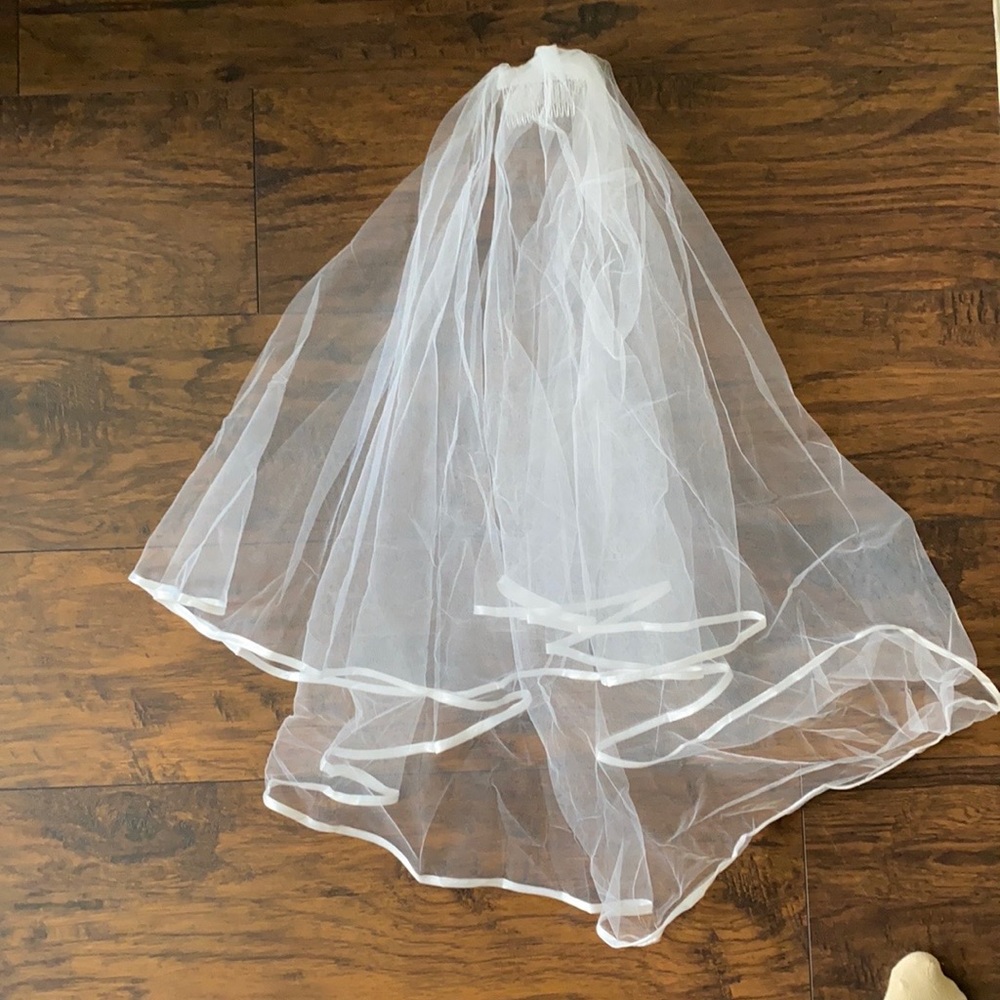 Bachelorette Party Veil